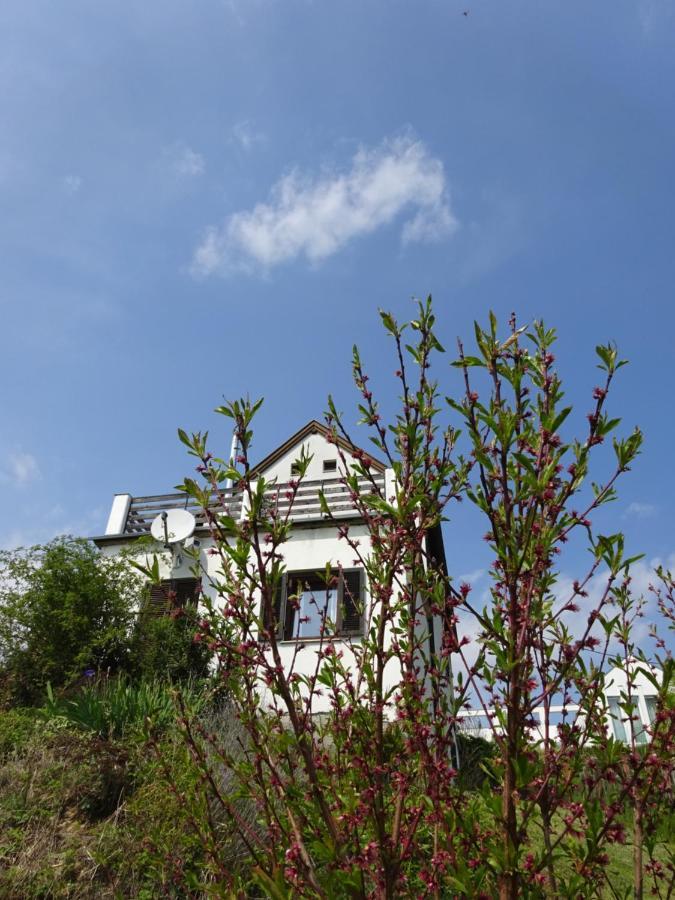 Kellerstoeckl Eisenberg/Pinka Weiner Villa Eisenberg an der Pinka Exterior photo
